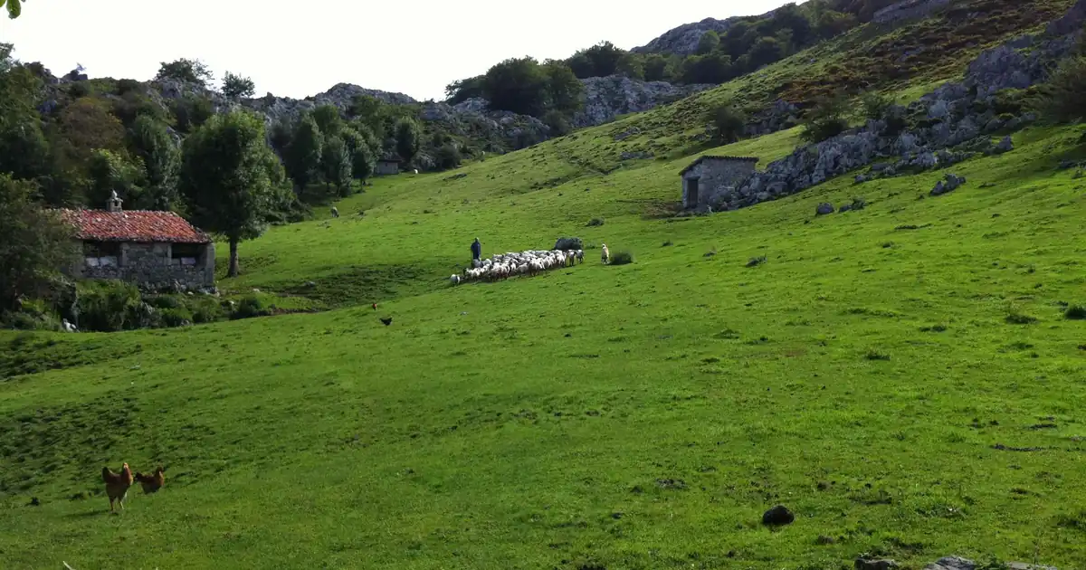 Majada de Gumartini, en la Montaña de Covadonga, Picos de Europa, Asturias, España — Asturias