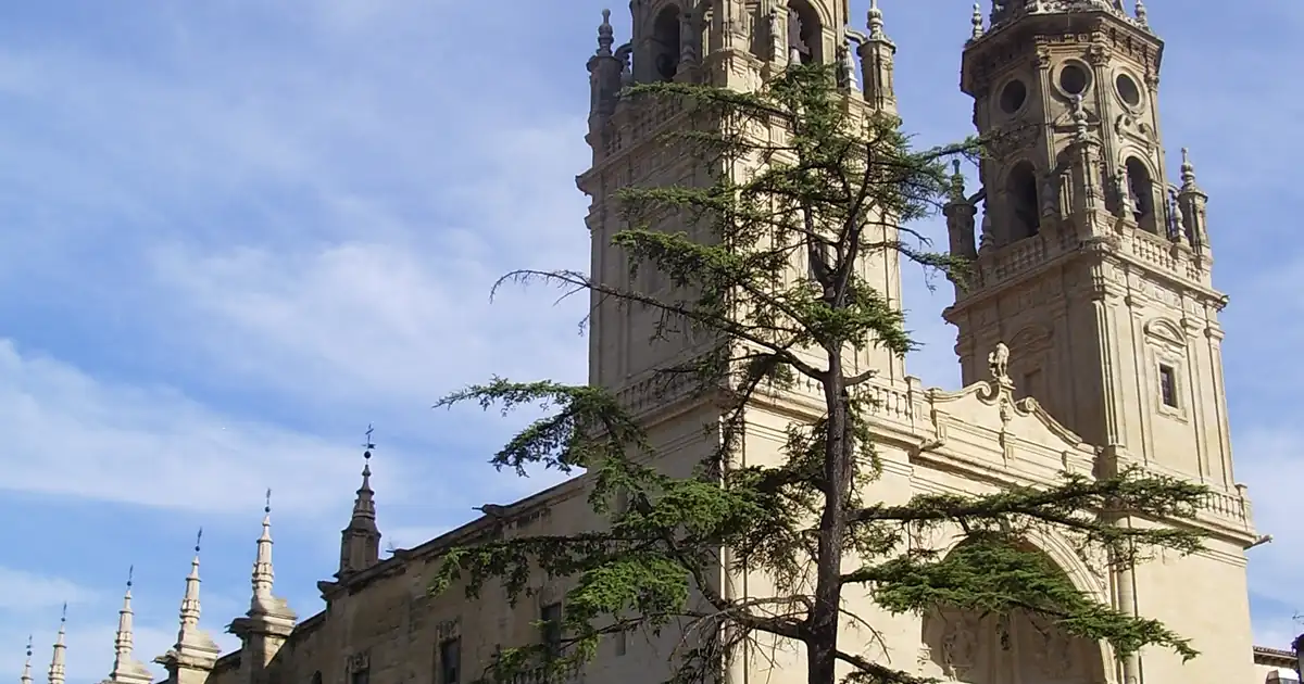 Concatedral de Santa María de la Redonda